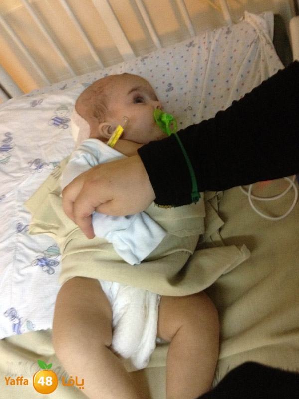 kawa3edtelhashomer531 (5).jpg